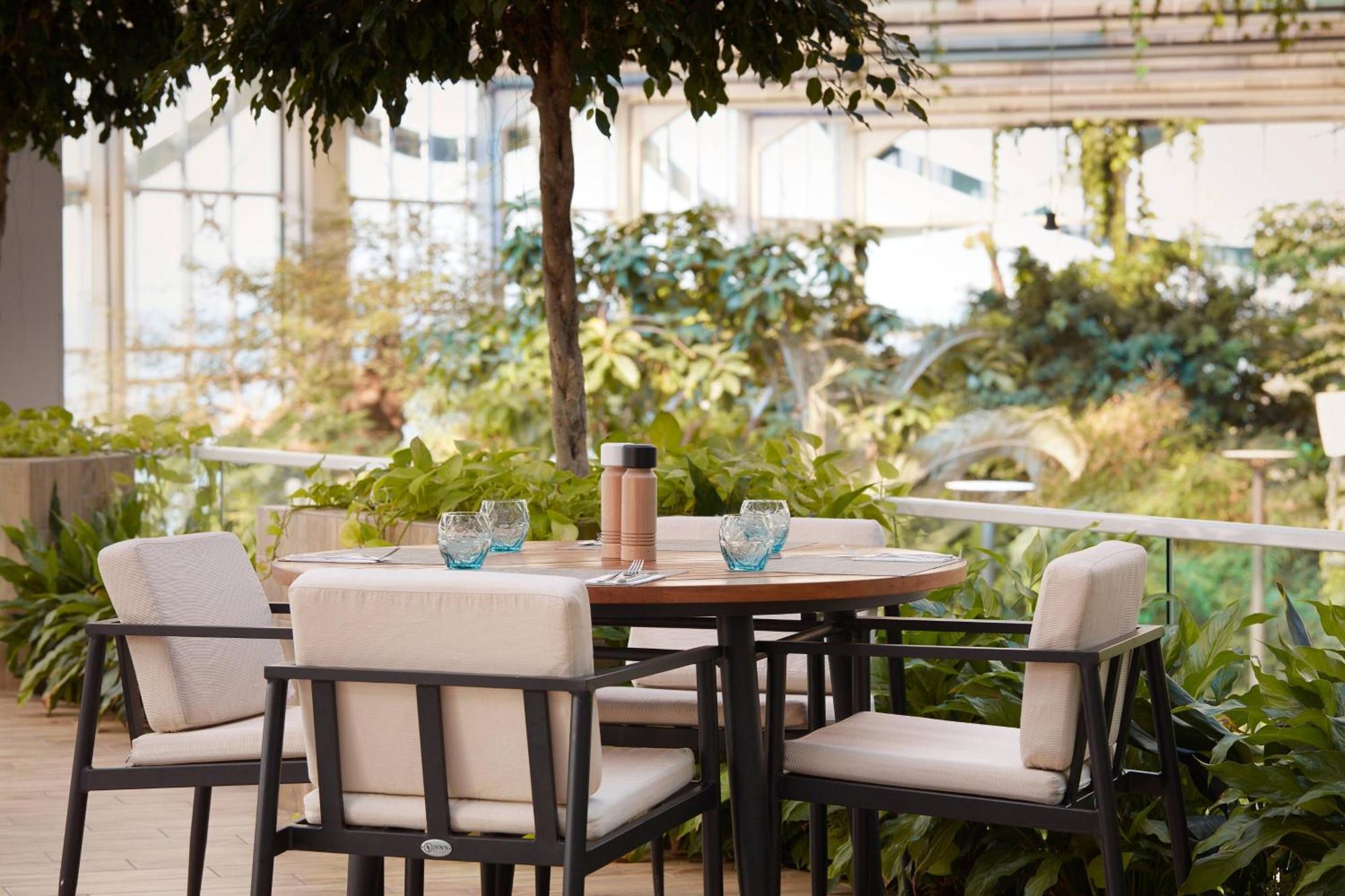 패러그래프 리조트 앤 스파 셰크베틸리, 오토그래프 컬렉션 외부 사진 The Terrace