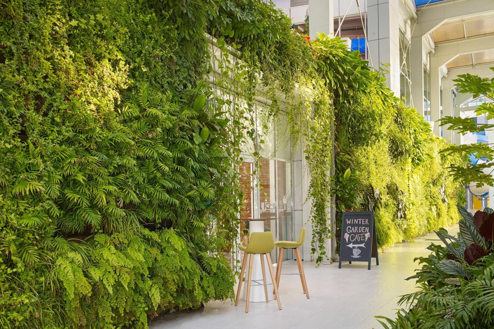 패러그래프 리조트 앤 스파 셰크베틸리, 오토그래프 컬렉션 외부 사진 Living wall